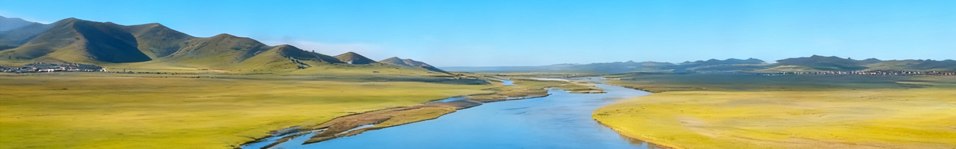 寧波景宏園藝有限公司